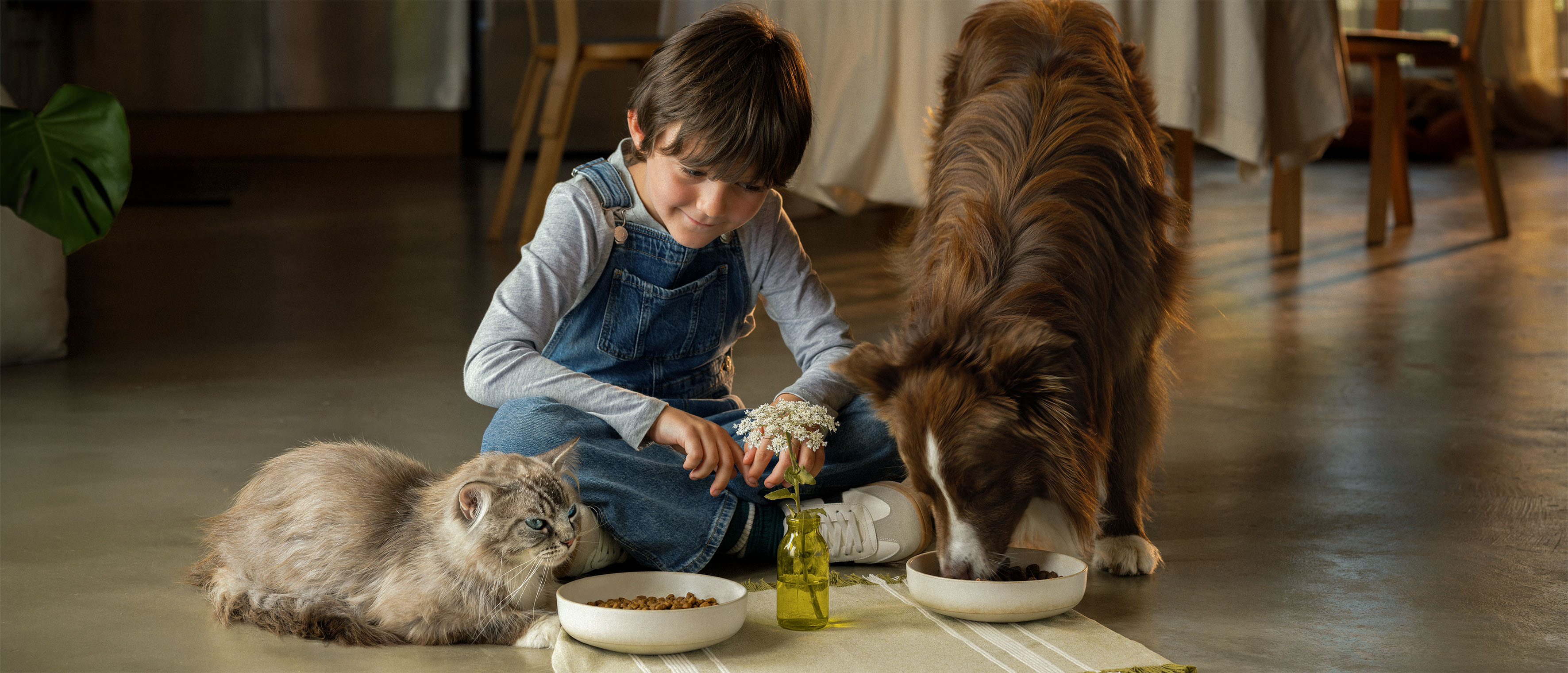 Banner immagine decorativa